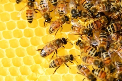 Confectionery manufacturer Aldomak has installed bee hives on its factory grounds to boost the bee population 