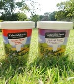 Tasty expansion: Cornish ice cream firm Callestick is planning to expand its business