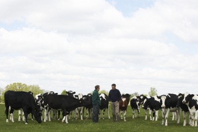Dairy Crest has frozen the price it pays its farmers for milk 