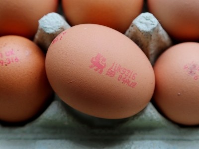 Raw and lightly cooked eggs deemed safe by a new report