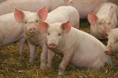 Pig meat prices are stabilising