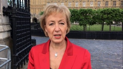 Andrea Leadsom: 'Thoroughly enjoying my own apprenticeship as secretary of state for DEFRA'