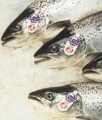 Tensions run high over fish farm deal