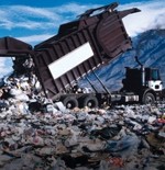Government should help businesses cut waste