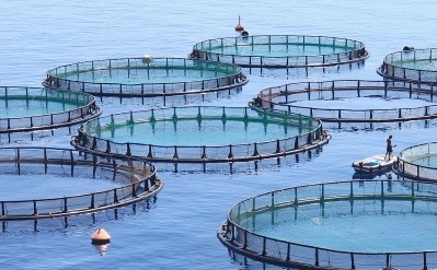 Cargill's acquisition will allow it to play a major role in the global aquaculture industry