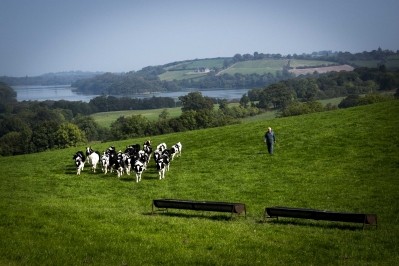 Lakeland Dairies gets its milk supplies from more than 2,200 family farms in Ireland