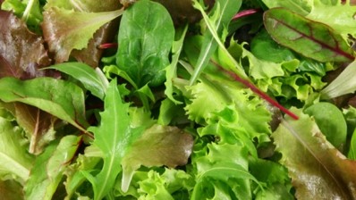 E.coli linked to mixed salad leaves