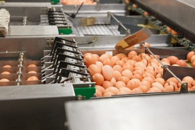 About 700,000 contaminated eggs were imported into the UK