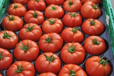 Made in the UK: SITA plans a project to produce 10% of all UK tomatoes