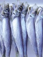 Seafood processor embarks on carbon reduction project