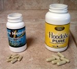 Hunger-busting hoodia still ‘excellent prospect’, insists Phytopharm
