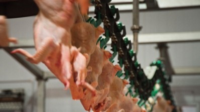 Surface treatments for campylobacter on poultry may not be enough to combat infection