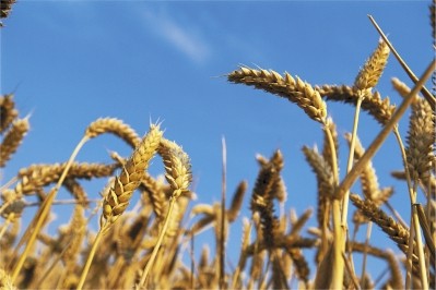 Don't restrict wheat from your diet, research has suggested