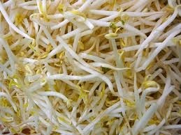 FSA advises consumers to shun raw beansprouts