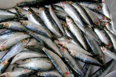Fish and seafood processing in focus: Joined up thinking 