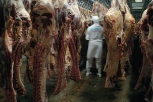 FSA recommends graded approach to meat inspection charges