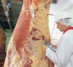 Uncertainty surrounds the security of workers' jobs at Omagh Meats, Northern Ireland.