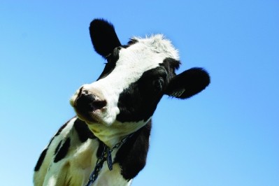 Create more demand for dairy, Neil Parish urges