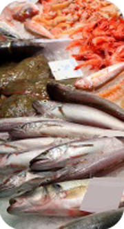 Something fishy? Up to one in seven fish sold in stores, fish and chip shops and restaurants may not be the species it was claimed to be