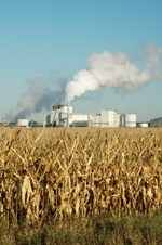 Scrap biofuel targets to stem food crisis, says FDF