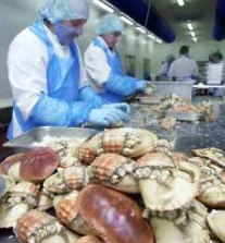 The end of an era for Cromer Crab factory