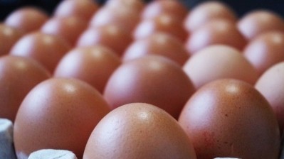 Morrisons has bought an egg supplier 