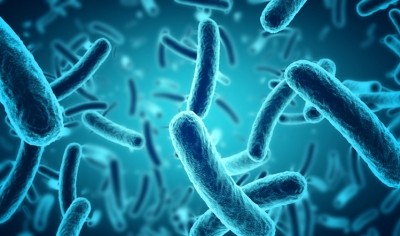 Understanding the role of gut microbes in diet-related health conditions is a key concern