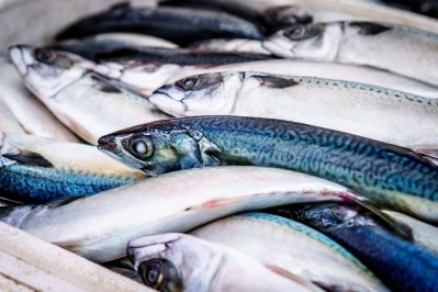Price inflation drives up on Christmas seafood sales in the UK