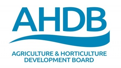 A changing marketplace has led to a restructure at AHDB