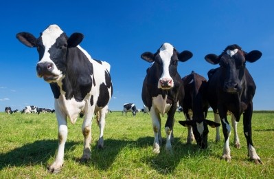 The scheme aims to develop world-leading standards of livestock traceability in the UK