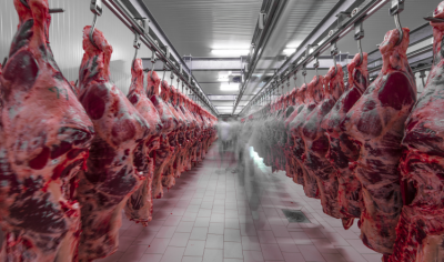 With the UK abattoir sector is under increase pressure from shortages in labour and a decline in the number of businesses 
