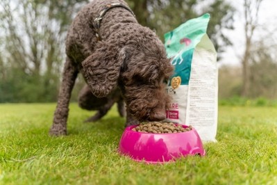 Pet food trends range from vegan offerings to ice cream for dogs