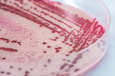 Listeria monocytogenes must be managed during manufacturing processes. Credit: Getty / andresr