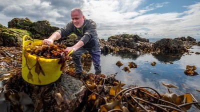Seaweed Enterprises was founded by new chief executive Pete Higgins. Credit: Mike Wilkinson