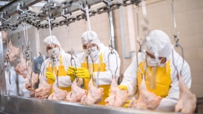 The report is bullish on the global poultry market's prospects for 2023. Credit: Getty / andresr