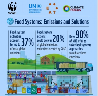 The report claims that food systems need to change