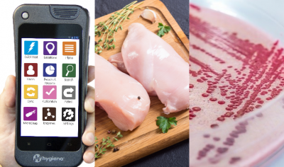 The latest in food safety news, including senior appointments as RSSL and poultry recall figures 