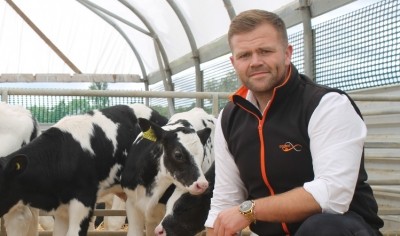 Selective breeding in the beef supply chain can help boost traceability 