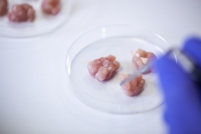 Campden BRI and Cellular Agriculture have secured funding for their cultivated meat research Image: Getty, Mindful Media