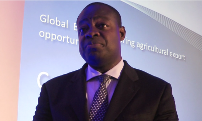 Kessie: The UK's exports would be protected under WTO rules