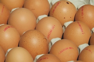 Lessons must be learnt from last year's fipronil crisis, warned ABB 