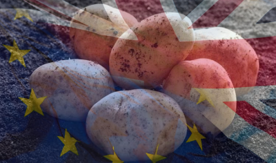 The organic food industry have called into question the Government's Brexit contingency plans 