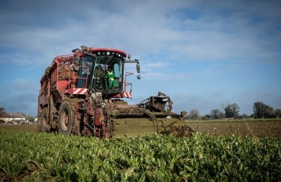 UK sugar beet growers face fierce competition with Europe if their isn't more investment in the industry. Picture from British Sugar