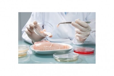 Human cases of campylobacter drop by 17%