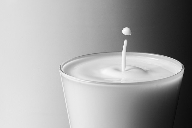 Milk First posted a rise in profits in its interim report. Image copyright Flickr user Endre Majoros