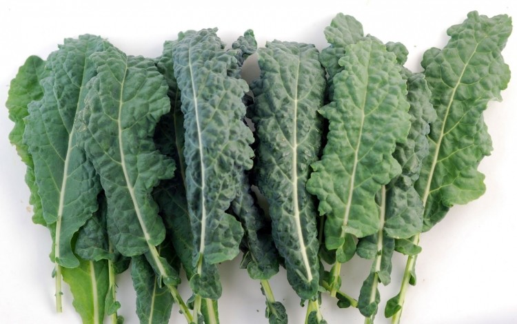 British kale is known to be rich in antioxidants, calcium and vitamin A 