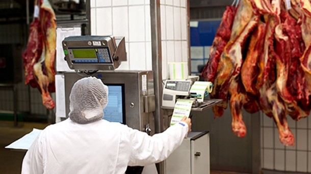 Meat firms get automation advice