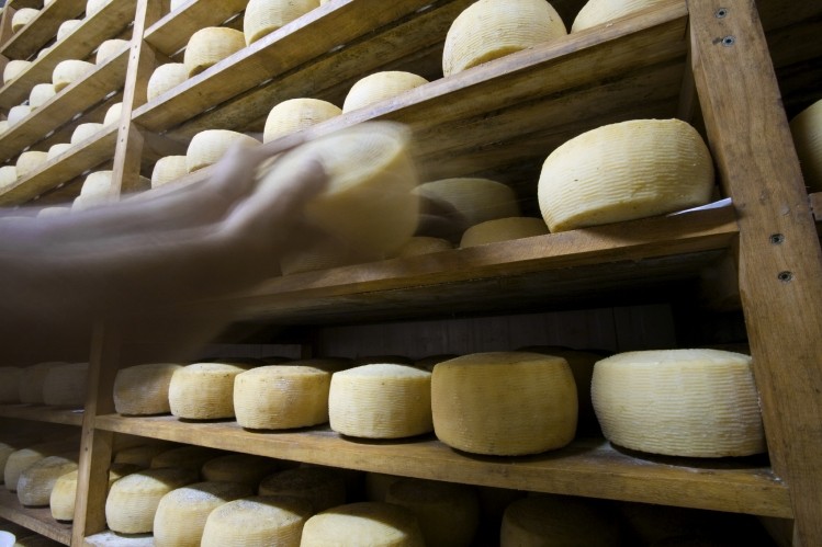 Some cheeses may contain less fat than people think - pic courtesy of www.iStock.com, Sabrina dei Nobili