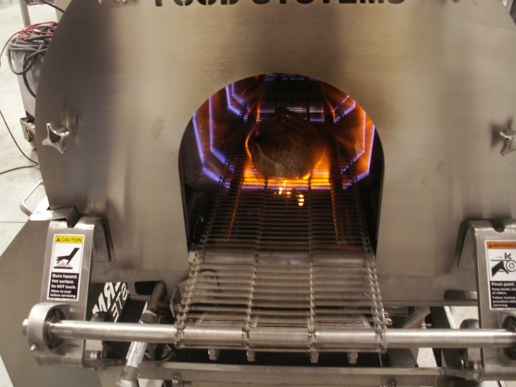 Meat firm cuts processing time with flame pasteurising