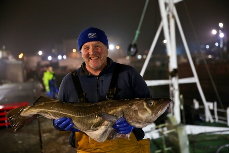 North Sea cod stocks have returned to sustainability after more than 10 years